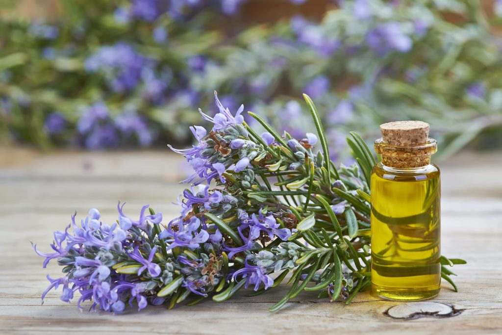 Best carrier oils for rosemary essential oil