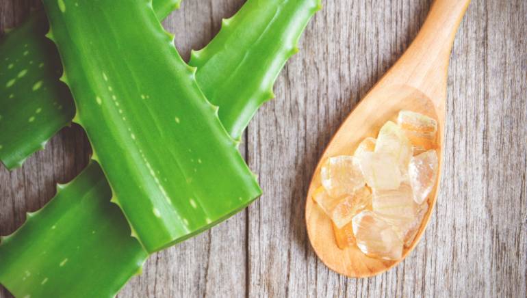 Aloe Vera Gel vs Hyaluronic Acid