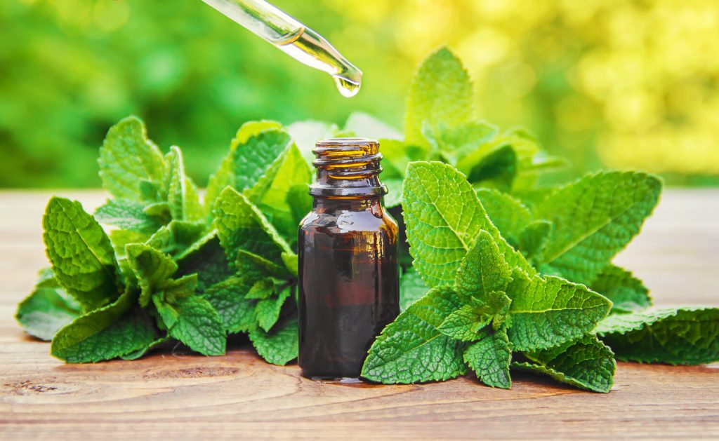 Peppermint essential oil smelling weird. What is the reason?