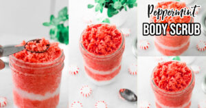 httpsaprilgolightly.comwp-contentuploads201912FB-Peppermint-Scrub.jpg_20250613114752