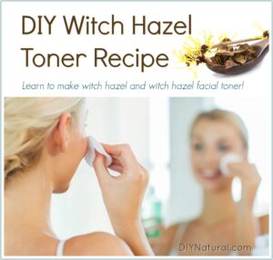 httpsdiynatural.comwp-contentuploadsWitch-Hazel-Toner.jpg_20250613122054