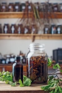 httpsgardentherapy.cawp-contentuploads201903Homemade-Witch-Hazel-Toner.jpg_20250613122103