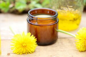 httpsgardentherapy.cawp-contentuploads202204dandelion-salve-uses.jpg_20250621100612