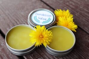 httpshomespunseasonalliving.comwp-contentuploads202105dandelion-salve-hort.jpg_20250621101451