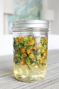 httpsi0.wp.comdanslelakehouse.comwp-contentuploads202203diy-dandelion-oil-2.jpgfit15002C2250ssl1_20250621100606