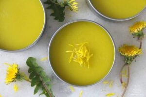 httpsmommypotamus.comwp-contentuploads201804homemade-dandelion-salve-recipe.jpg_20250621101547