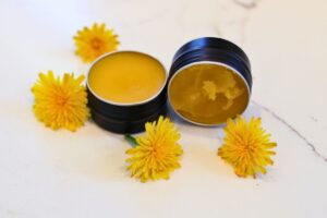 httpspioneerhealthhomestead.comwp-contentuploads202505dandelion-salve-recipe-with-2-tins-and-dandelion-flowers.jpg_20250621101447