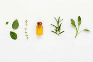httpstealnotes.comwp-contentuploads201808resized-essential-oils-post-cover-image.jpg_20250613122037