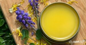 httpsthenerdyfarmwife.comwp-contentuploads202005dandelion-salve-2020-for-FB.jpg_20250621100553