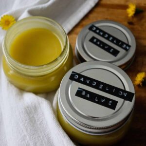 httpstulipsandtwill.comwp-contentuploads202207dandelion-salve-from-foraged-dandelions.jpg_20250621101528