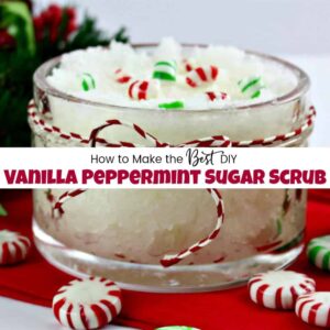 httpswww.justthewoods.comwp-contentuploads201811best-DIY-vanilla-peppermint-sugar-body-scrub.jpg_20250613114747