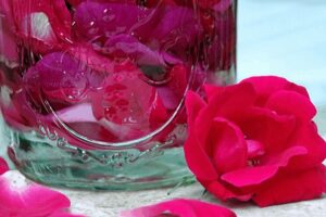 httpswww.turningclockback.comwp-contentuploads201505How-To-Make-Rose-Water-Facial-Toner.jpg_20250613122125