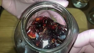 DIY-Hibiscus-Extract-with-Glycerine.-Final-product