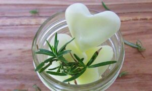 httpsbrendid.comwp-contentuploads201402BrenDid-Rosemary-Infused-Lotion-Bon-Bons-Slider.jpg_20250702131740
