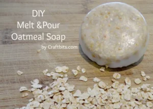 httpsi0.wp.comcraftbits.comwp-contentuploads200603melt-pour-soap-oatmeal-diy.jpgfit7832C555ssl1_20250716100521