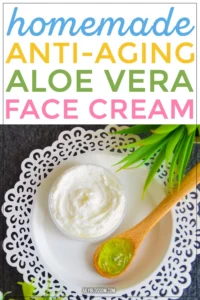 httpsi0.wp.comwww.julyblossom.comwp-contentuploads202111homemade-anti-aging-aloe-vera-face-moisturizer-1.jpgfit10002C1500ssl1_20250701165554