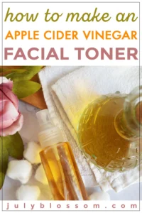 httpsi1.wp.comwww.julyblossom.comwp-contentuploads202111homemade-aple-cider-vinegar-toner-2.jpgfit10002C1500ssl1_20250708060206