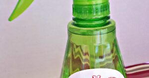 httpsmyfruitfulhome.comwp-contentuploads201610cooling-peppermint-foot-spray-3-1200x630-cropped.jpg_20250703104851