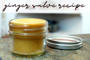 httpssoapdelinews.comwp-contentuploads201502ginger-salve-recipe-2.jpg_20250716095016