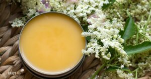 httpsthenerdyfarmwife.comwp-contentuploads201705elderflower-salve-FB.jpg_20250716094705