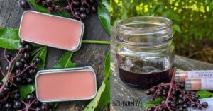 httpsthenerdyfarmwife.comwp-contentuploads202107peppermint-elderberry-lip-balm-FB.jpg_20250716094729