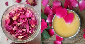 httpsthenerdyfarmwife.comwp-contentuploads202407rose-petal-salve-24FB.jpg_20250701170516