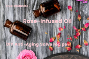 httpswww.studiobotanica.comwp-contentuploads202107RoseinfusedOilSalveRecipeFsb.jpg_20250701170542