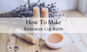 httpwww.thefarmerscupboard.comcdnshoparticlesBeeswax-Lip-Balm-Recipe_1200x1200.pngv1675030618_20250703105632