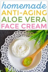 DIY_AntiAging_Aloe_Vera_and_Rosehip_Face_Moisturizer_20250829100335