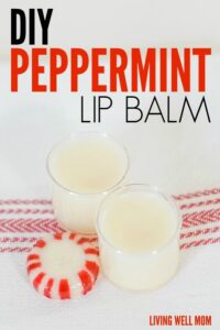 Easy_3Ingredient_Peppermint_Lip_Balm_20250811123727