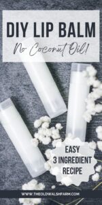 Quick_3Minute_Beeswax_Shea_Butter_and_Almond_Oil_Chapstick_20250811123700