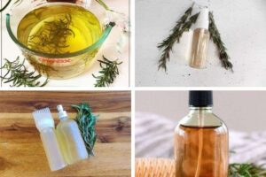 httpswishfulyou.com9-diy-rosemary-hair-rinse-and-spray-recipes_20250802162117