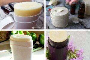 httpswishfulyou.comdiy-deodrant-recipes_20250802162300