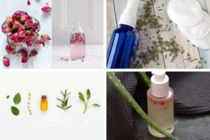 httpswishfulyou.comdiy-witch-hazel-toner-recipes_20250802162146