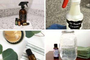 httpswishfulyou.comtea-tree-oil-cleaning-recipes-for-a-toxin-free-home_20250802162244