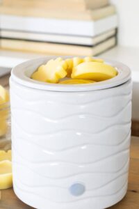 3Ingredient_Beeswax_and_Coconut_Oil_Wax_Melts_20250907081743