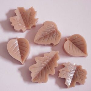 Autumn_Spiced_Beeswax_and_Coconut_Oil_Melts_20250907054555