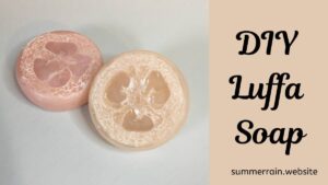 DIY_Exfoliating_Luffa_Melt__Pour_Soap_Bars_20250907061459
