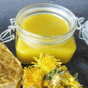 Dandelion_Salve_and_Lip_Balm_20250907052445