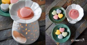 Homemade_Natural_Wax_Melts_with_Essential_Oils_20250907081814