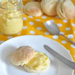 Quick_Mango_Butter_Curd_20250907103640
