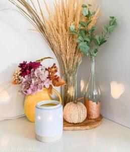 Quick__Easy_Beeswax_and_Coconut_Oil_Melts_20250907054411