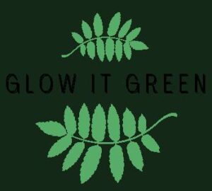 Whipped_Shea_Butter_Cream_20250907070946