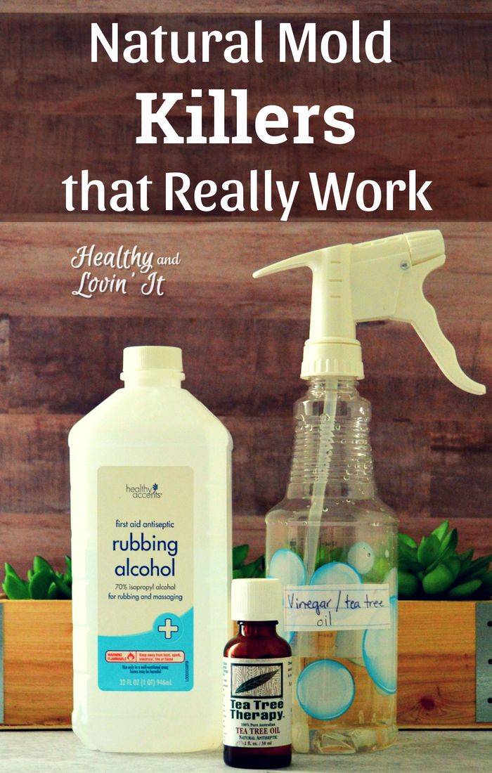 13 Mold Spray Recipes Image