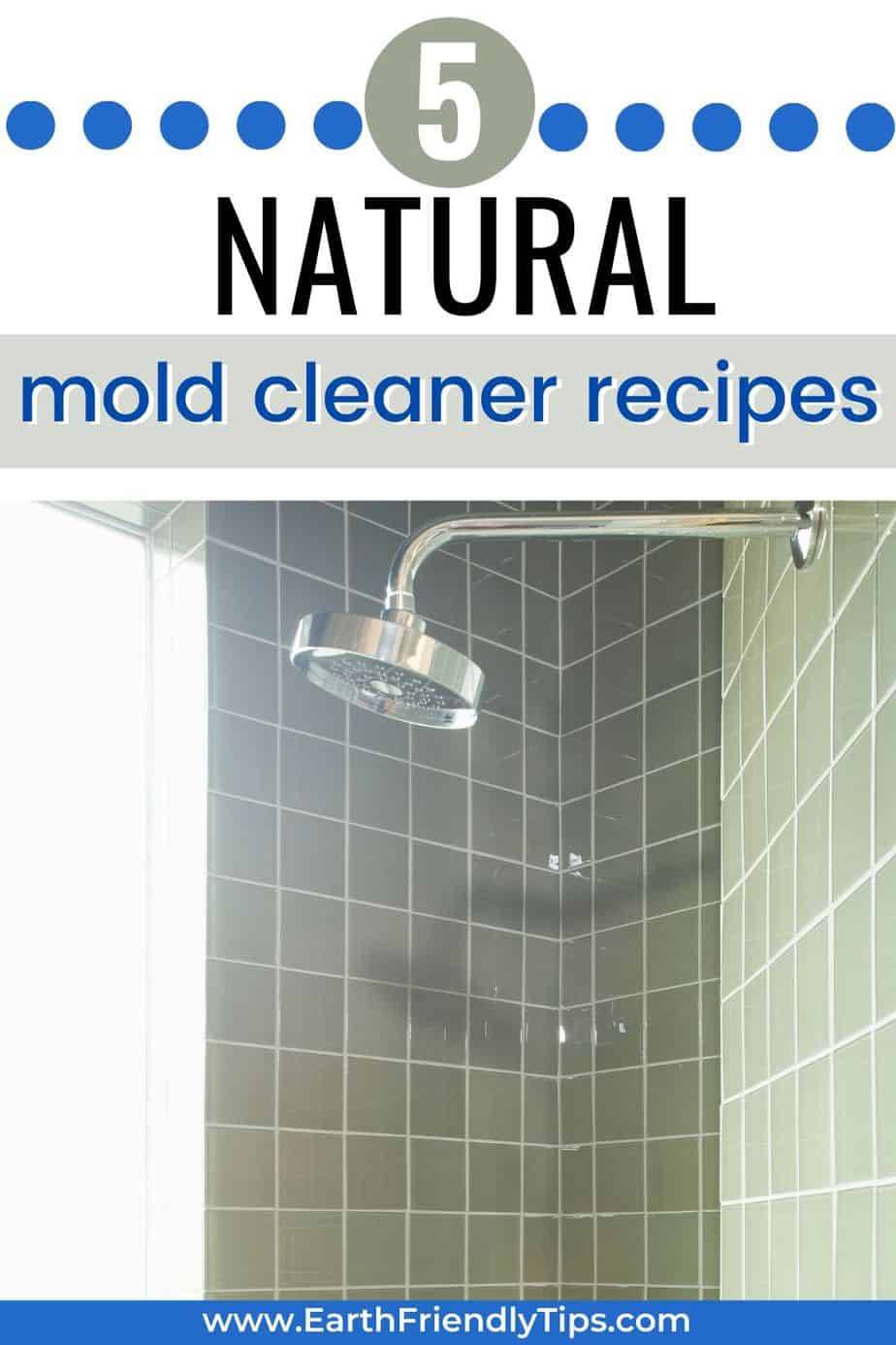 13 Mold Spray Recipes Image