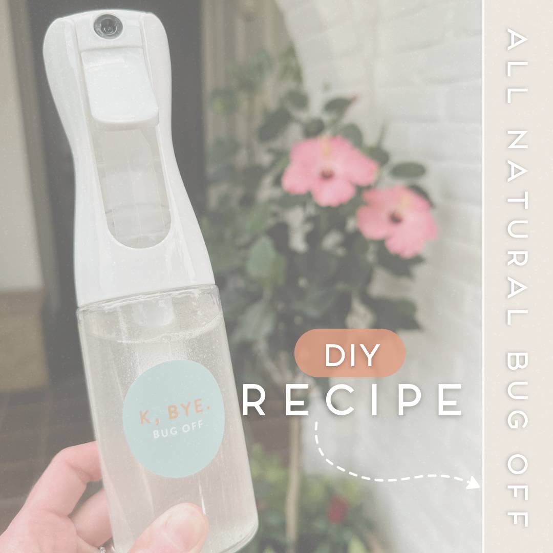 28 DIY Bug Repellent Recipes Image