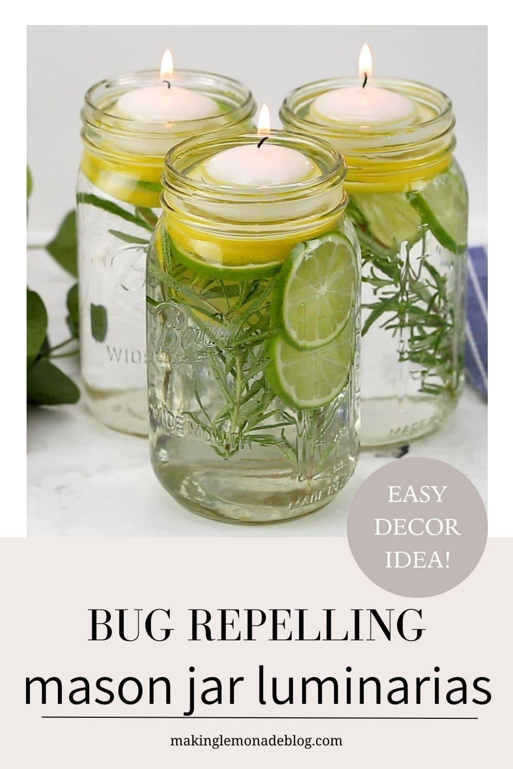 31 Mason Jar Bug Repellent Recipes Image