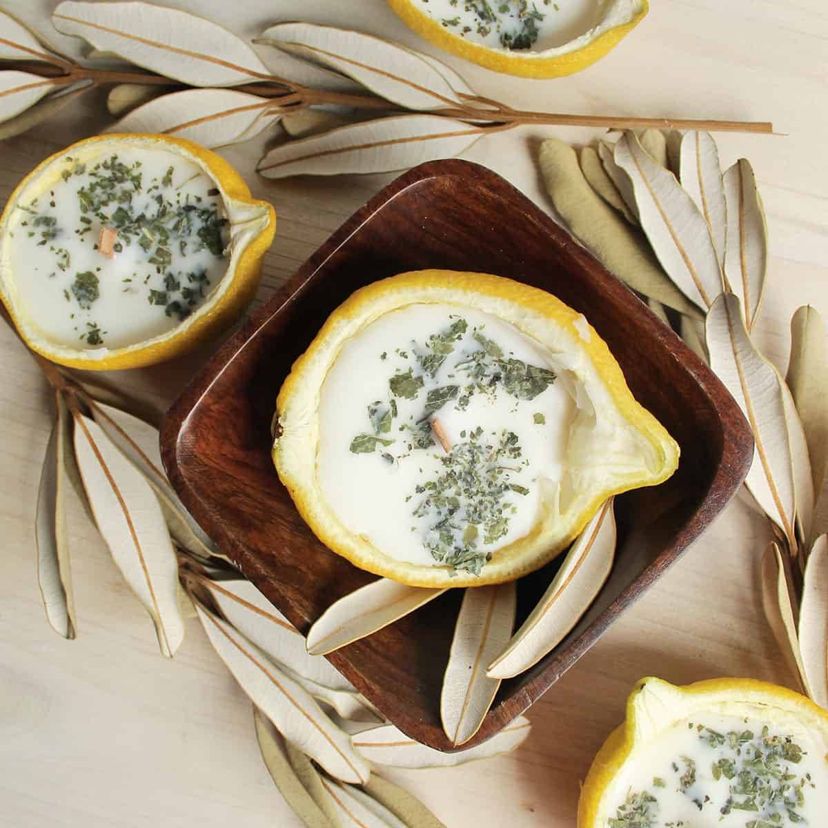 29 Insect Repellent Candles Recipes Image