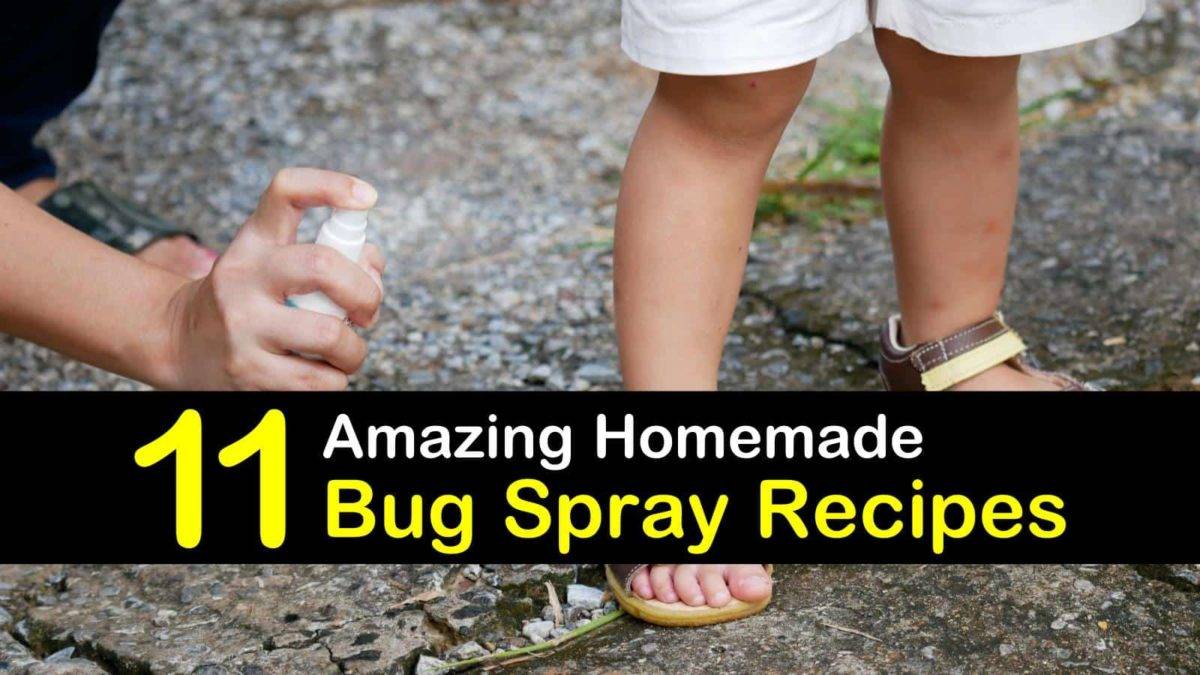 28 DIY Bug Repellent Recipes Image