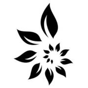 33 DIY Natural Disinfectant Spray Recipes Image